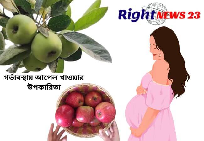 গর্ভাবস্থায় আপেল খাওয়ার উপকারিতা